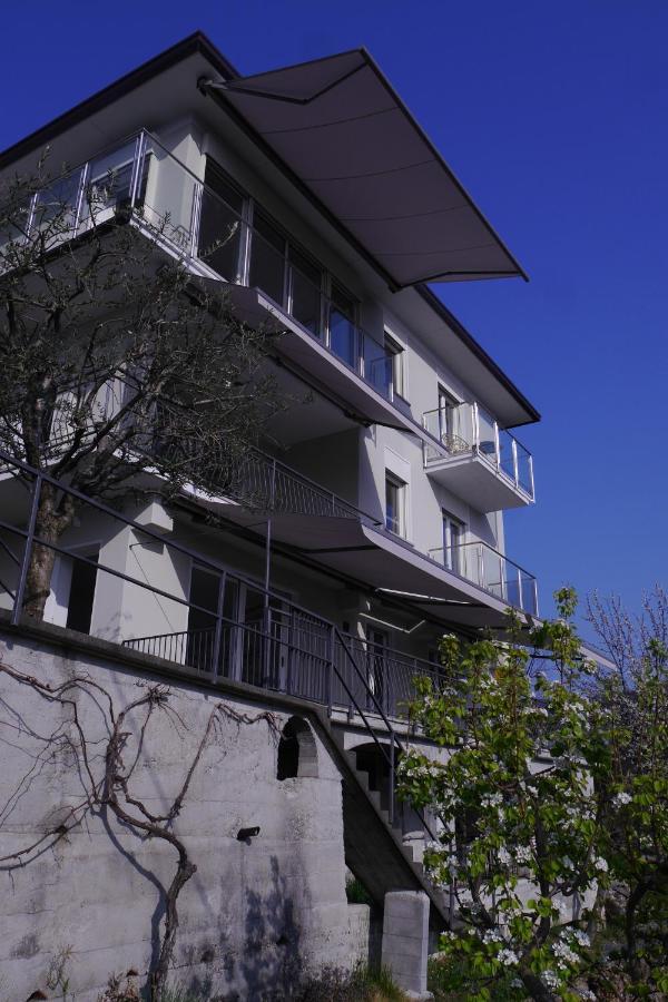 Casa Colmegna Mit Traumhaften See- Und Bergblick ลุยโน ภายนอก รูปภาพ